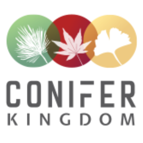 Hedge Plants for Sale | Buy Hedging Plants | Conifer Kingdom